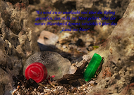 2020-06-08/5ef2e3d3c07902804c61ad5a6865bb59_067751c343fdf92e40e11f4ff1b45834