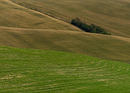 2020-06-09/258ba83ffc4be36983cf70bcb33efc65_aeedb886c4ba0ad14c56a77ad7c16dd0