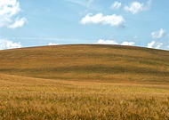 2020-06-09/5b40ba55f93de9866985da62aef4392f_70a4ebea9762b29ed03ac04f2c1c6547