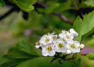 2020-06-10/390f749e26bed5a68336a4d08981dc0a_9a76293ca4d212ea84452f1c81bffbee