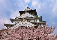 2020-06-10/dc8f5ff59bd102471e522eb1233fbaee_da39eb83f771aa48a7510d08b6695a47