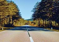 2020-06-10/f3664098896a510dab6bf399c800132d_c2fa1e274812e78dffd73594b593b4db