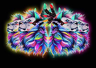 2020-06-11/80004a05bd24c458b2b0b8148c0736dc_5e4cf26ad4c05d69adc9322a98d1a56e