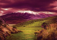 2020-06-12/38ece65ed95bd4c475e596c627805bb3_6ec4191593ee50eff04176d5be1f662c