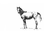 2020-06-15/2dff64a1f1a441e5d3401a634ddfa2e9_edb6ff40260539ce1fbd71e53f7ae4d4