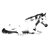 2020-06-15/4915957a1c86ca156c3a1e442a7405f9_a3030afb242acf32c85e2ddb602dfc37