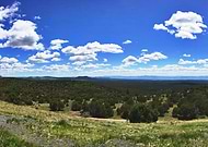 2020-06-16/b718ffad2105c43dc43a43e5c49253b0_a650c097d5508785b63c036a0548feb5