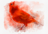 2020-06-18/2be6b3c6800d803509a834554444e2a7_9d4c576cfc23c401f001126d824a7862