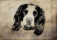 2020-06-18/31cb54b1accc33120d3e24bdda551bd3_cd6630ca1f8b94617e9a8c2947588a98