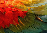 2020-06-18/c5c3c4d73e0cc969af27299c89281814_f6df8e043e9318dfdfc922100d65ae67