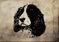 2020-06-18/f1c9726dccb1ef0486e3d4ecde3ad8a4_ef9ef6e1c8e0d60ac3089fd1219f8dd8