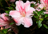 2020-06-19/6a1c116b6eb3b2fc1bc7614a31187cc1_3ad39583df9e4911013dc2113c83f517