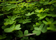 2020-06-19/b1eadaabcc8c1d9dea4702a0dd604c9b_7cf77d12aeb871e04e3e7476fa1ee1b5