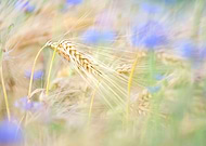 2020-06-19/c149a2fb1487e67b0d25338dd9f610c9_86b9d3c75d5b7082a5d7b89eb5584581