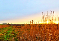 2020-06-19/f2ccde430fc612ade786420cfe8b4b72_b5a78ff32d0363de39c8fd0b44bd4af9