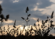 2020-06-21/c44445d34baffa3bb5233849ab6c6e81_784ea80ba56ee96927349c0a8a73694f