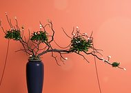 2020-06-22/d194ff314f20f5db77d1c3273015048b_cc89630ce434970ac427ac929c49c4b3