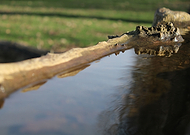 2020-06-23/0419bccd32c2205ff3ddcfca2b610cb4_a7be212ff496293413fc466375d5c9e1