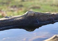 2020-06-23/1ee866a04cc84557679922ba86135f50_92ac0542eb796a3c220e986ed732db58