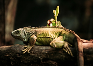 2020-06-23/4abbe4c8c54587f8ca0dd970e7fe4fc7_10f35c3fcc62e566a62c23e585b6c0c9