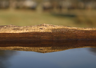 2020-06-23/555c253f5f1265c518727428e3c6fed5_029ce4364fa0d9c0b9a9cf918f932a3a