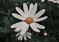 2020-06-24/58b9bfd71081707757c8c1529d51e7ce_6464e4b522f3149ce6a6563eba0b93ae