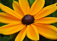 2020-06-24/59dad0d33aa596c7e7d083797e95cec2_69db483e520d5d50453652f41744bbdf