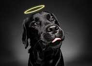 2020-06-24/df1b5bfba39ad9eba433da57fcb90273_9e8cfd46b01c8a3fcab58022a3a8f9c5