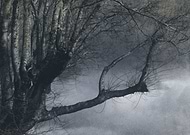 2020-06-25/455eacd2c33d24eb2b10c6e4d4aa0d9e_65feb1c10d3fc461597fcce73976908a