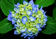 2020-06-27/d5637058d2cd5d6d290d0c15da330aa7_3e9ce3bb6a09465306f79bd129f2c391