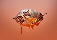 2020-06-29/01a9873e1e05b7b3b063cc66de95a71a_1aea62c9f139aaba745f9ff08ec5f7bc