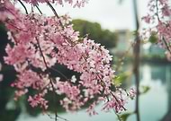 2020-06-30/7d3f812eeb62db6e2bb198d3af8e4e8a_cef903fa98e8351196dcf38c5d27f2a8