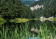 2020-06-30/d40437878a3ae43c12327533447e5205_ad55dfb6018b797a84d6e0f5d90adf2f