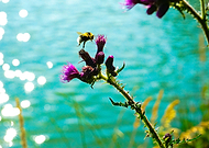 2020-07-01/749488b4a9f0371c812b61eab2b914c5_17ef37234520a90a0f79ef82271cf0a6