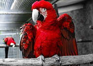 2020-07-01/9c0244e577dceb519dd2aa8eb36f2c45_42092ab3fa2a9d8b696774752abfef4c