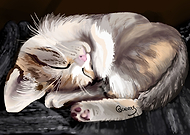 2020-07-01/e6fe33aeb887f192422bc981e12197fc_bf1013df87794730e5f7eb516989cbc3