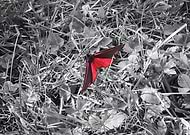 2020-07-02/d796c51f1c53ac0045147dedf58da620_fcc26a3f716e668c039f7510b5ae6069