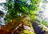 2020-07-08/18734c90fb6adde450f62e51c69df865_b3f7afe1fad65418340277a4dae768b6