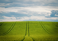 2020-07-08/e942d578b8b8a42d5c2d4efb262a1749_a2037d580f1df54fa05a3295937c687f