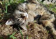 2020-07-09/0e2bf7d4ee1c918ef7c175079a36606c_6ce403805e70a8f508b37847c330f1ac