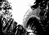 2020-07-10/9bfd23e55dcf12a848c619320ab744a0_c3633e94b7ae209309a7bc41173ac429