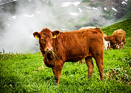 2020-07-11/0622e48d74b2f31ec580357d8dea5f25_5d8c62be67c90ab76290b18acdfcc17e