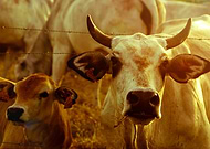 2020-07-11/6fd20df3575234b54d1fa6bac2d19444_05690dc5d545dcb802699d8dde2c9beb