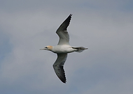 2020-07-14/1e5597778e46b4f74e0fd0ec814d3504_64fcc50e5552e55fcbbb4e564bde73ef