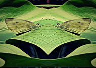 2020-07-14/837af720c76254c8e5b45a106518a90d_6f27bbe46637ee40b784e8c91fe96139