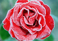 2020-07-15/3f41012b232ff31a3d645aa0d3f81e3f_51fd3260128f7f875867027a40d4b480