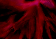 2020-07-16/62512755998842d4e55bf3527bc98d1a_e197b4b2114d48e694d32c9cd3c60e0f