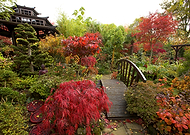 2020-07-17/1c25d3cddb234581087819111de23315_9b550d558c4ad8ef532c5c9b0b3caa8e