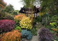 2020-07-17/677f9910d003f252e9b62f181fac4798_4fbdfa7097548e17fdf07d8c07ddbb1a