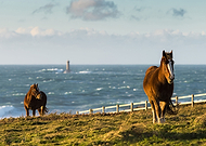 2020-07-17/741bbb7e08b2f485863a3a619feb5de3_104ccb1d72f840d87d3a48dd8da9950c